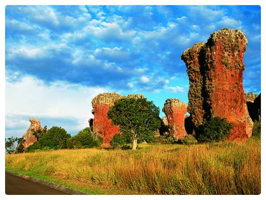 Campo de cheio de plantas e algumas arvores com 4 formações rochosas grandes.